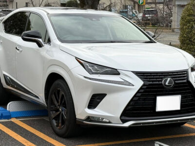 2019 LEXUS NX300 BLACK SEQUENCE