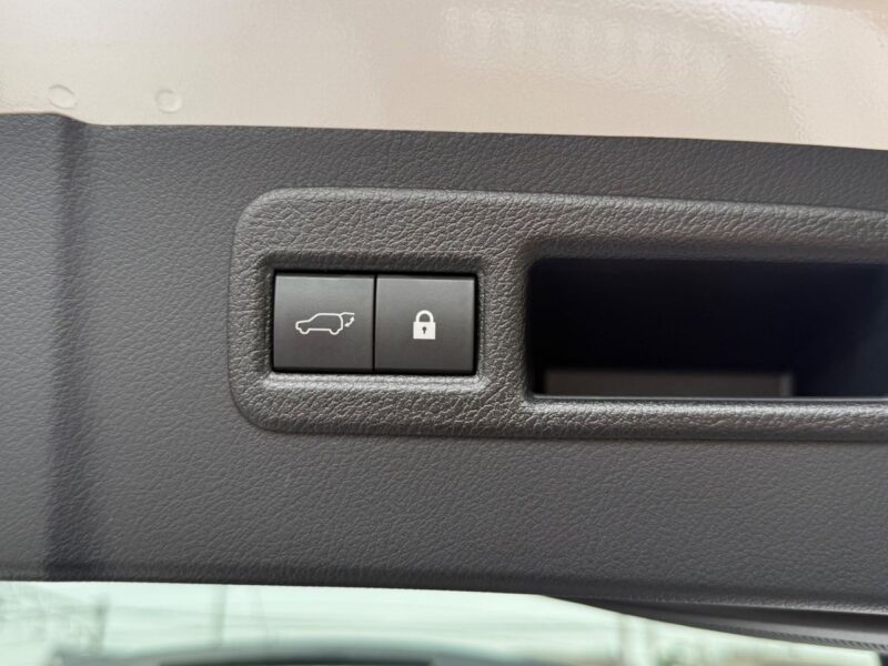 2019 LEXUS NX300 BLACK SEQUENCE