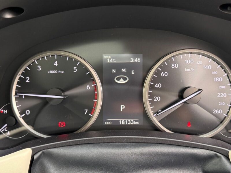 2019 LEXUS NX300 BLACK SEQUENCE