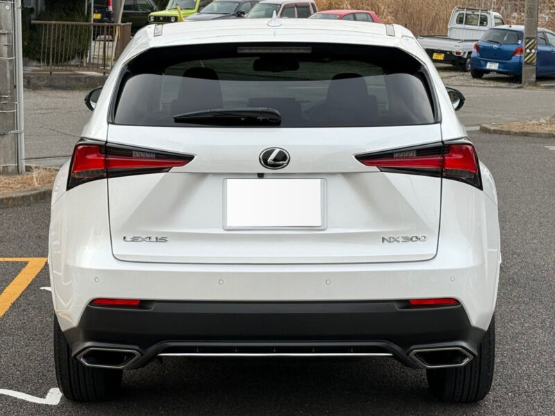 2019 LEXUS NX300 BLACK SEQUENCE