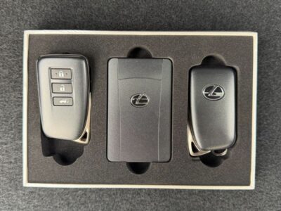 2019 LEXUS NX300 BLACK SEQUENCE