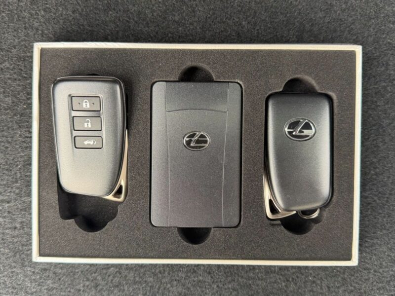 2019 LEXUS NX300 BLACK SEQUENCE