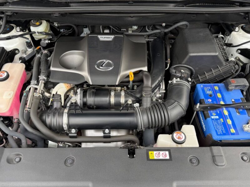 2019 LEXUS NX300 BLACK SEQUENCE