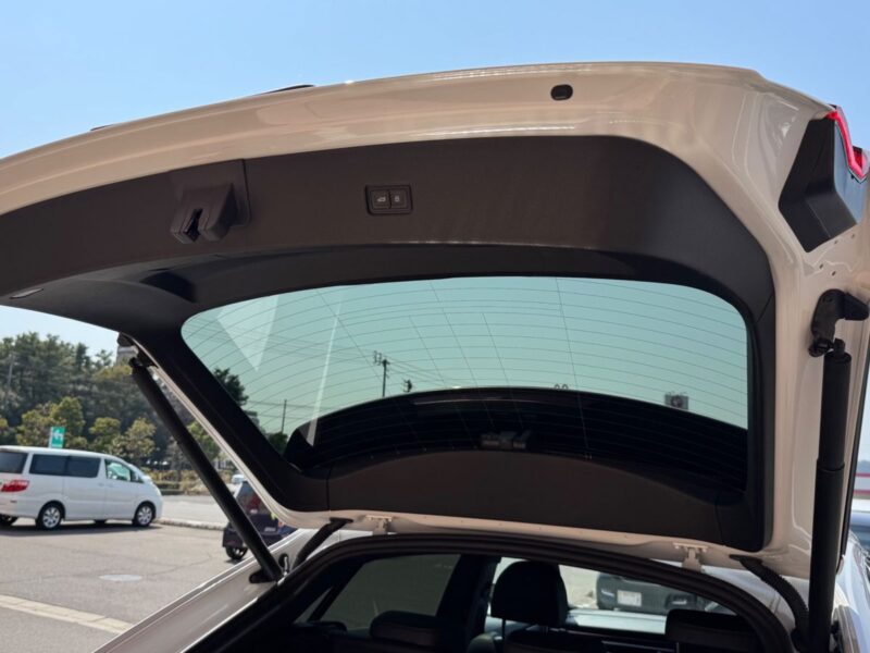 2019 AUDI Q8 55TFSi Quattro Debut PKG S-Line