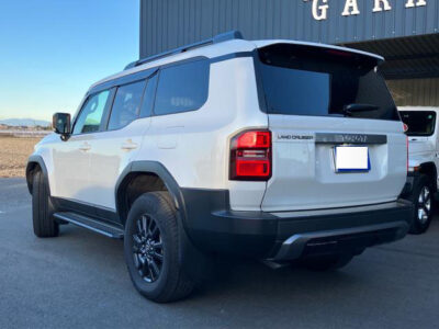 2025 Toyota Land Cruiser 250 2.8 VX - GDJ250W