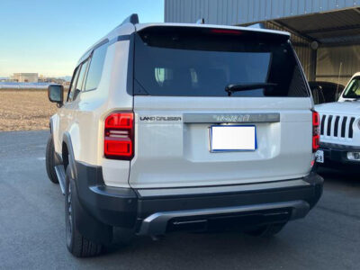 2025 Toyota Land Cruiser 250 2.8 VX - GDJ250W