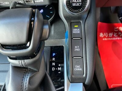 2025 Toyota Land Cruiser 250 2.8 VX - GDJ250W