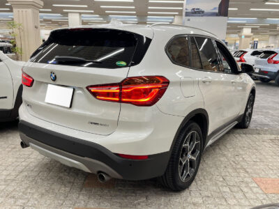 2019 BMW X1 xDrive 20i X-Line