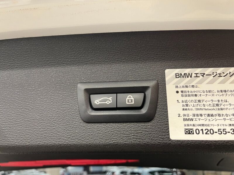 2019 BMW X1 xDrive 20i X-Line