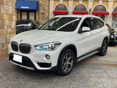 2019 BMW X1 xDrive 20i X-Line