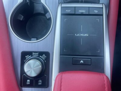 2020 Lexus RX300 F Sport