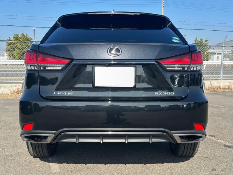 2020 Lexus RX300 F Sport