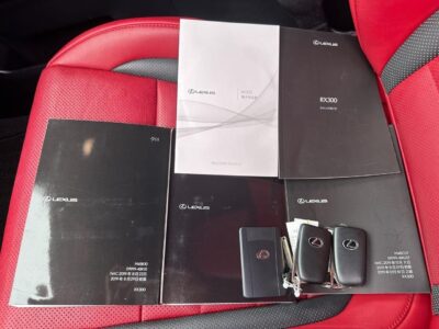 2020 Lexus RX300 F Sport