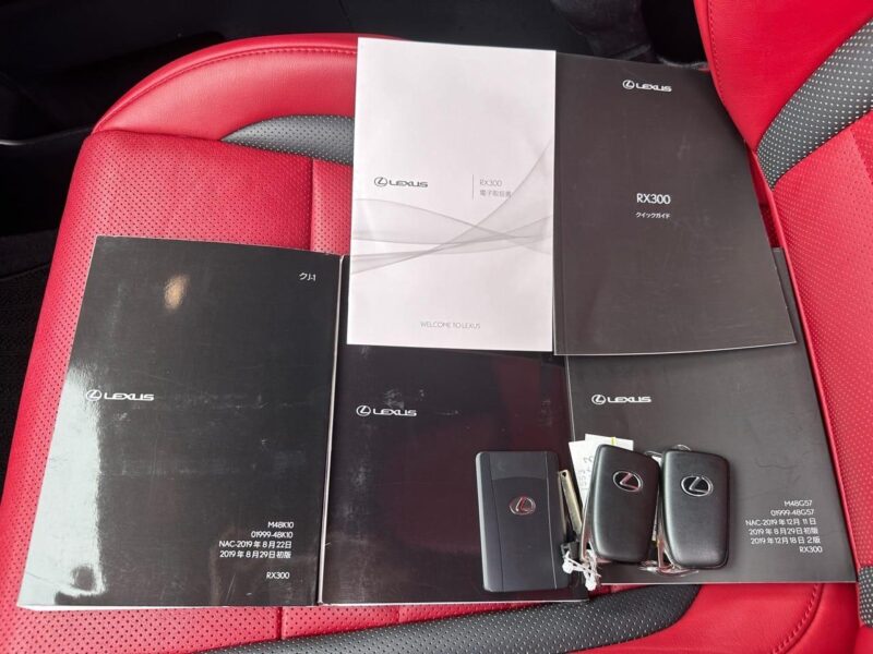 2020 Lexus RX300 F Sport