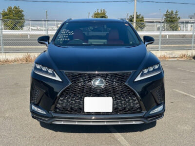 2020 Lexus RX300 F Sport