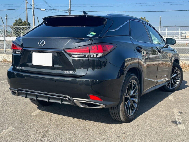 2020 Lexus RX300 F Sport