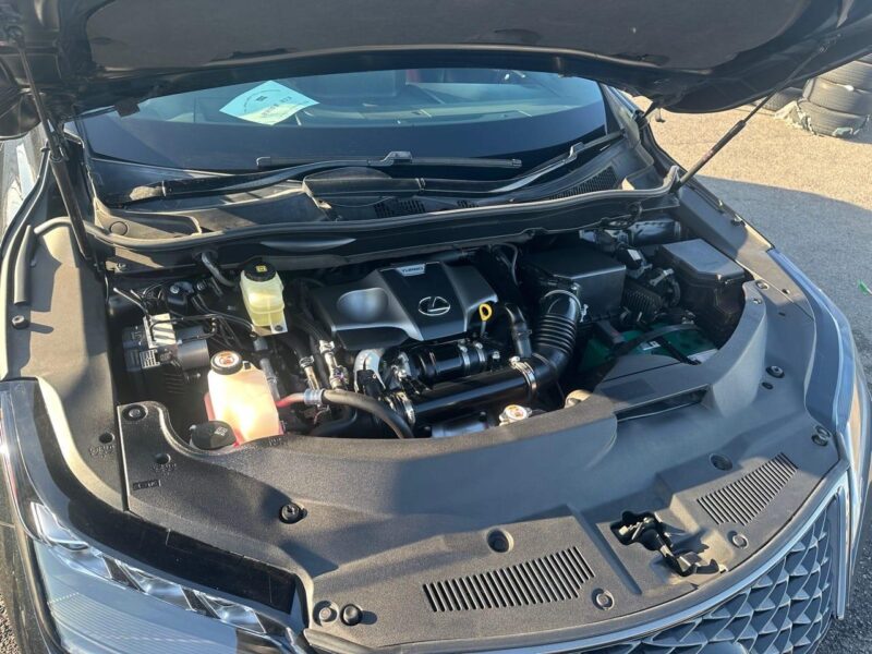 2020 Lexus RX300 F Sport