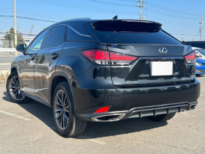 2020 Lexus RX300 F Sport