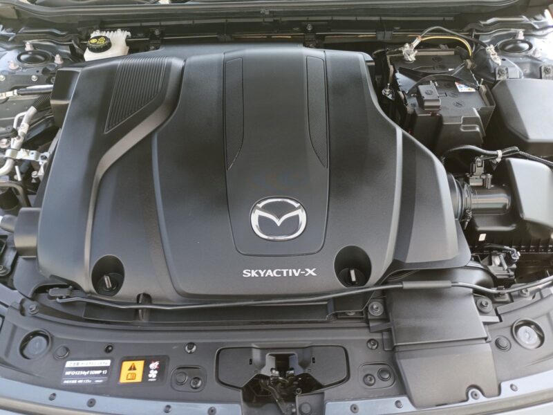 2019 MAZDA3 Fastback 2.0 X Burgundy Selection AWD