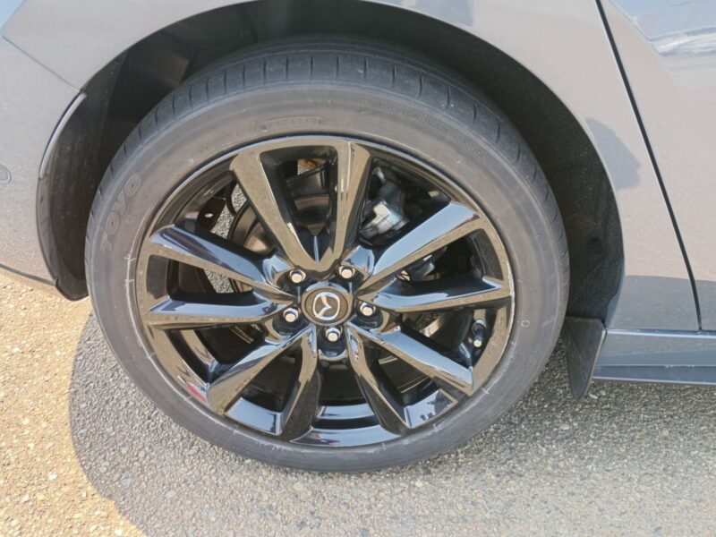 2019 MAZDA3 Fastback 2.0 X Burgundy Selection AWD