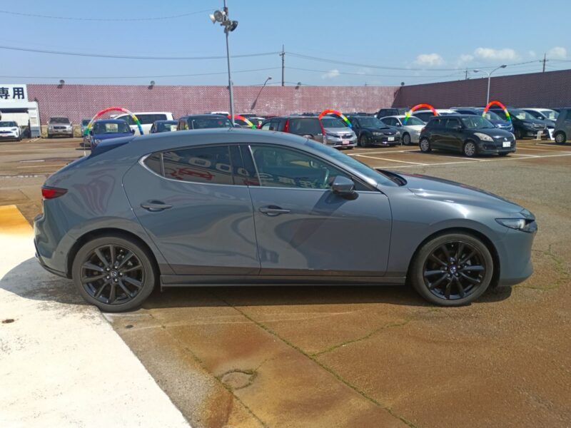 2019 MAZDA3 Fastback 2.0 X Burgundy Selection AWD