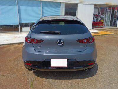 2019 MAZDA3 Fastback 2.0 X Burgundy Selection AWD