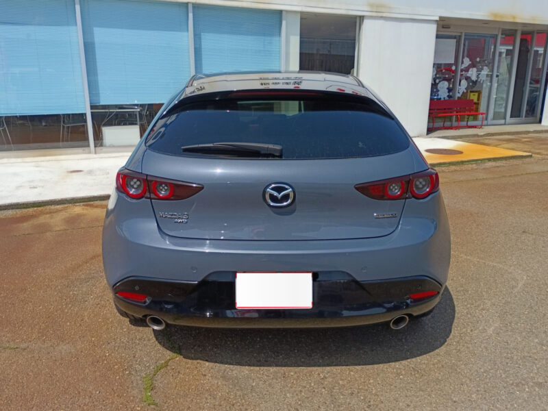 2019 MAZDA3 Fastback 2.0 X Burgundy Selection AWD