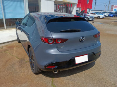 2019 MAZDA3 Fastback 2.0 X Burgundy Selection AWD