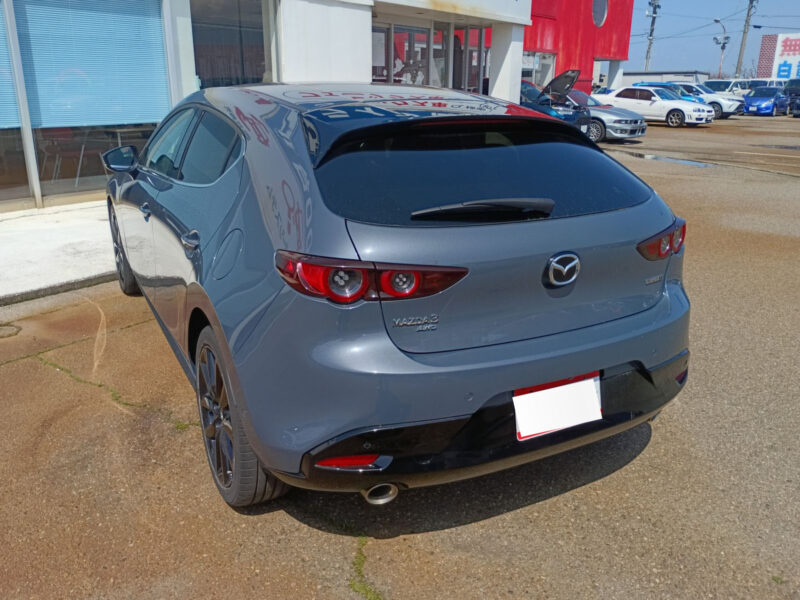 2019 MAZDA3 Fastback 2.0 X Burgundy Selection AWD