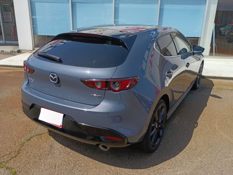 2019 MAZDA3 Fastback 2.0 X Burgundy Selection AWD
