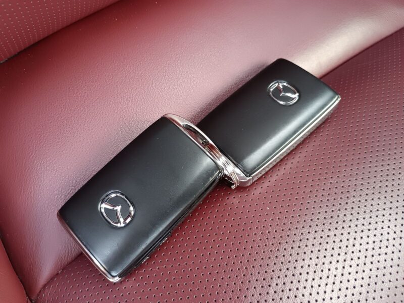 2019 MAZDA3 Fastback 2.0 X Burgundy Selection AWD