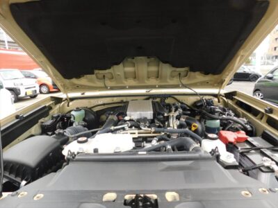 2024 Toyota Land Cruiser 70 AX - GDJ76W