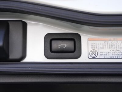 2020 Toyota Land Cruiser 200 4.6 ZX - URJ202W