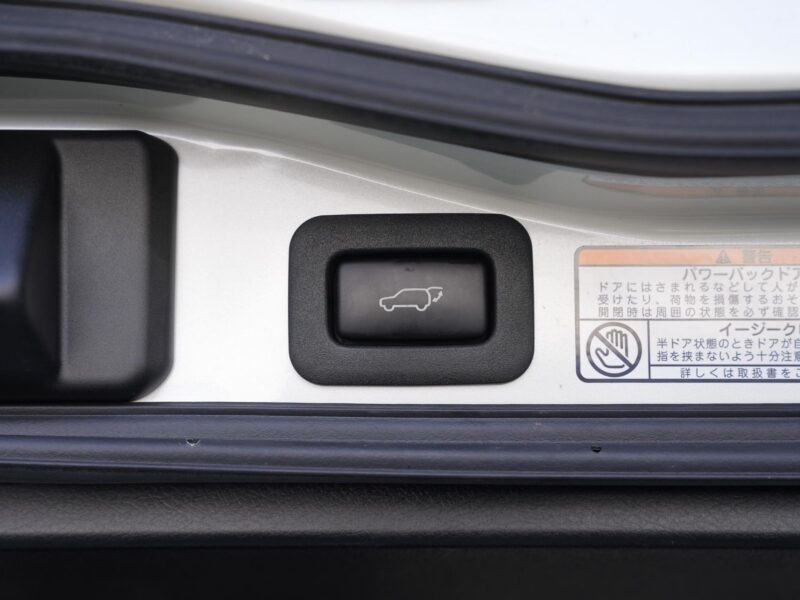 2020 Toyota Land Cruiser 200 4.6 ZX - URJ202W