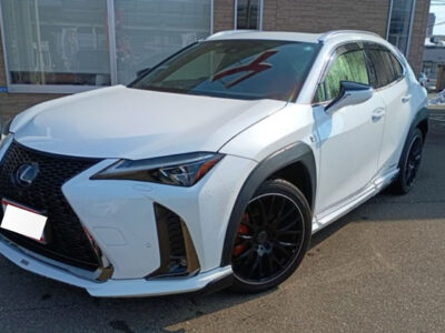 2019 Lexus UX250h F Sport (TOM’S Pkg)