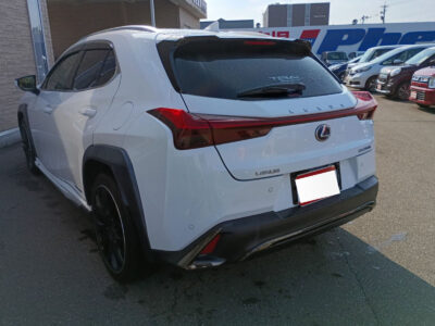 2019 Lexus UX250h F Sport (TOM’S Pkg)