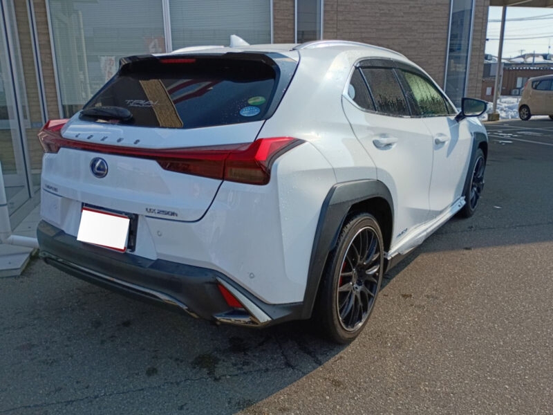 2019 Lexus UX250h F Sport (TOM’S Pkg)