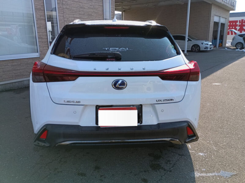 2019 Lexus UX250h F Sport (TOM’S Pkg)