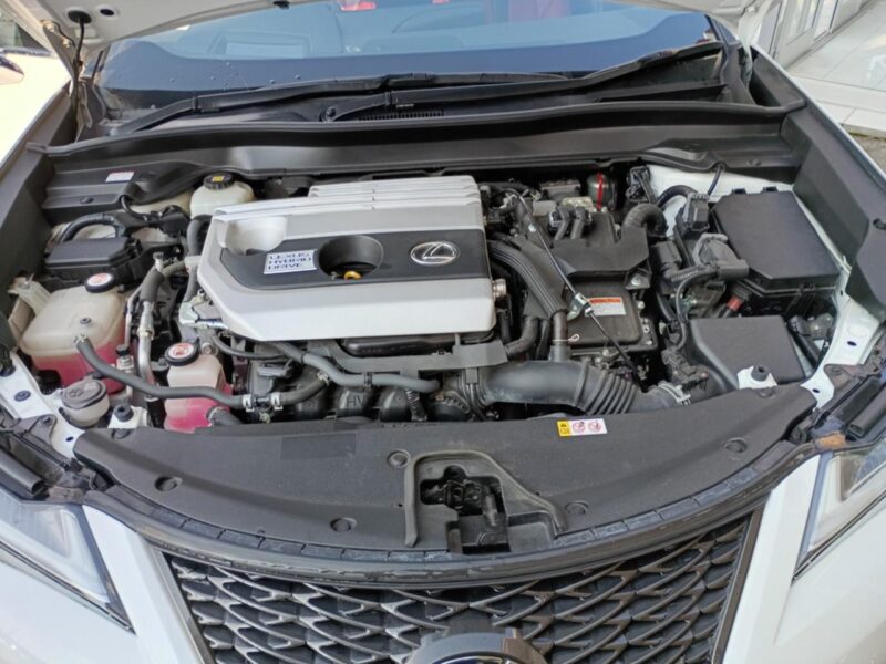 2019 Lexus UX250h F Sport (TOM’S Pkg)