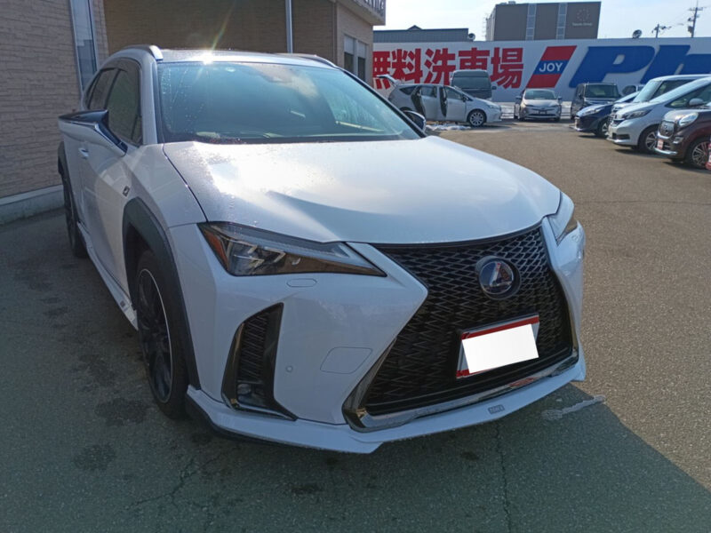 2019 Lexus UX250h F Sport (TOM’S Pkg)