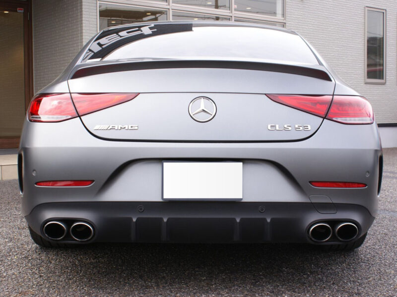 2019 Mercedes AMG CLS53 4Matic+