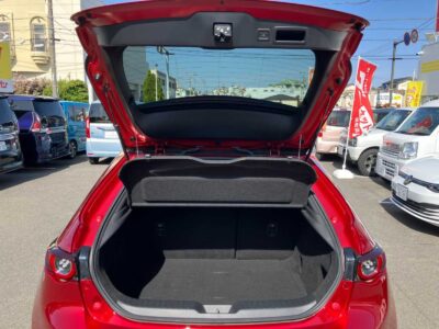 2020 Mazda MAZDA3 Fastback 2.0 X Burgundy Selection AWD
