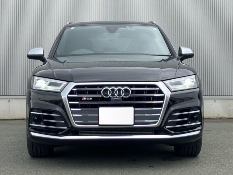 2019 AUDI SQ5