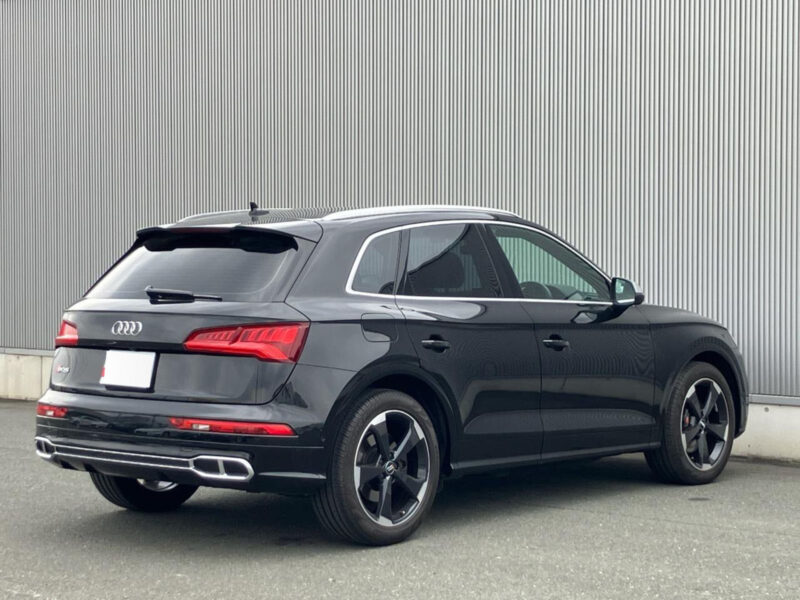 2019 AUDI SQ5