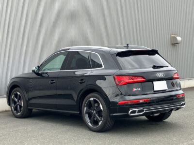 2019 AUDI SQ5