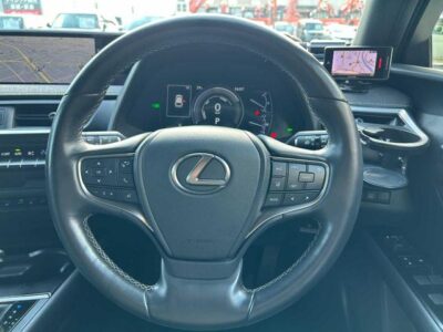 2020 Lexus UX250h Version L - 6AA-MZAH15