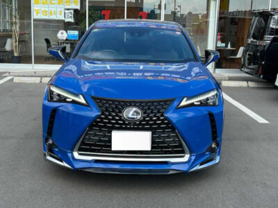 2020 Lexus UX250h Version L - 6AA-MZAH15
