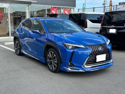 2020 Lexus UX250h Version L - 6AA-MZAH15