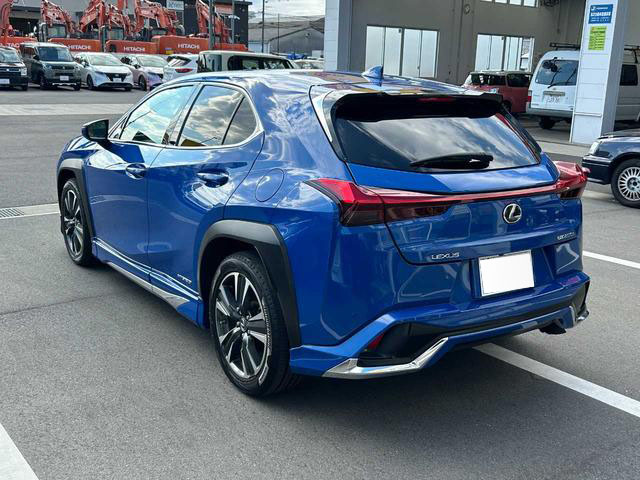 2020 Lexus UX250h Version L - 6AA-MZAH15