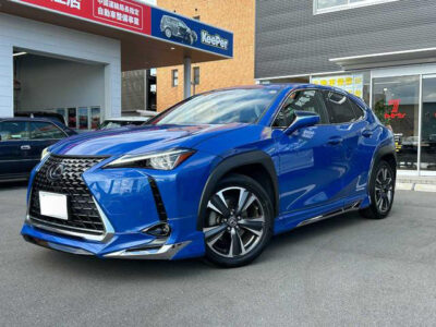 2020 Lexus UX250h Version L - 6AA-MZAH15